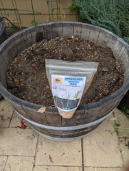 Restoring Potting Soil - Tips and an Experiment