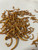 Image of Planet Bugs™  Dried Mealworms - freeze dried for premium color and nutrition Image of Planet Bugs™  Dried Mealworms - freeze dried for premium color and nutrition