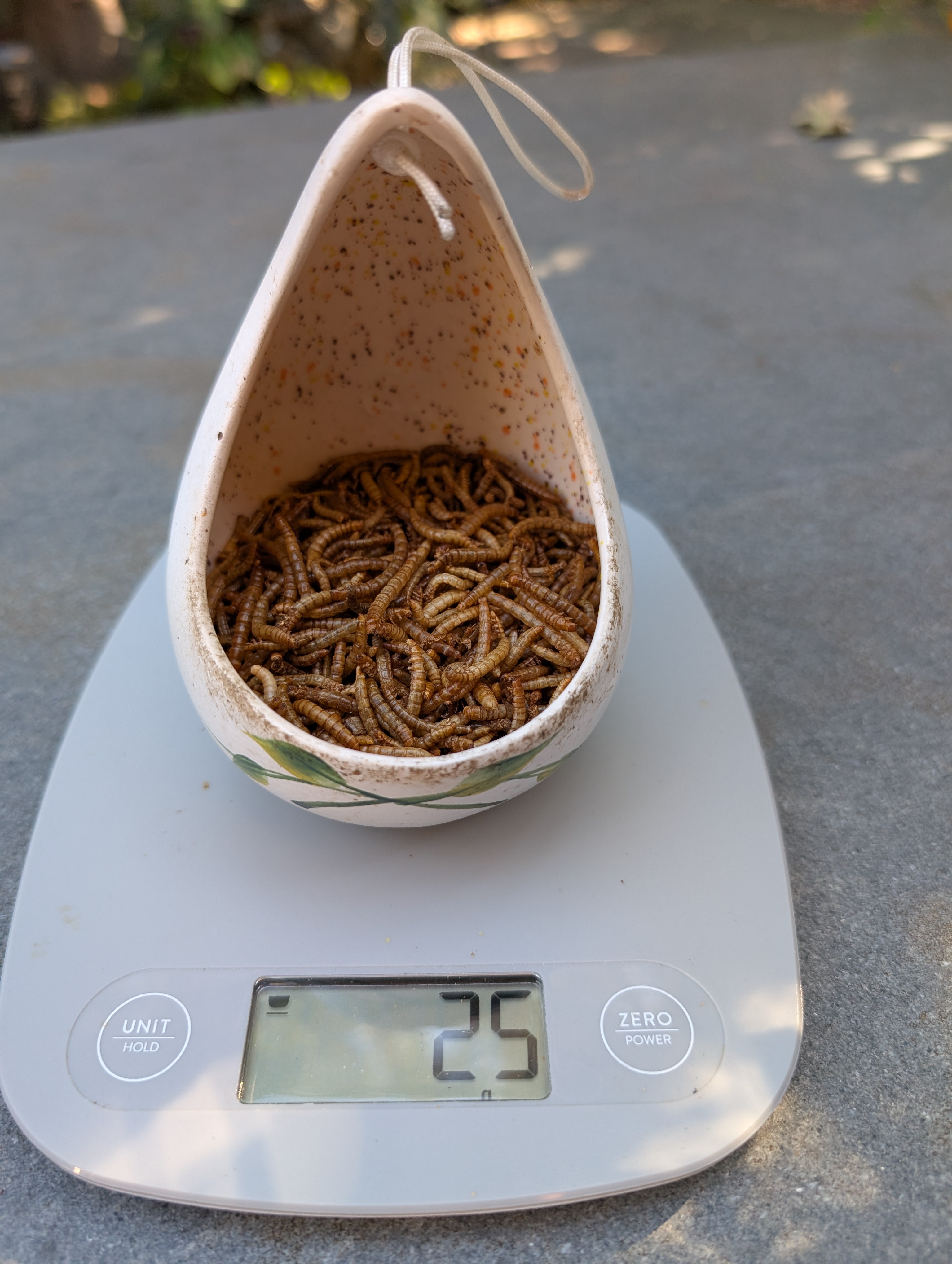 Hand painted feeder with 25g dried mealworms