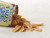 Smiths Bacon Fries 24 x 24g – Crunchy Pub Snack with Smoky Bacon Flavour Smiths Bacon Fries 24 x 24g – Crunchy Pub Snack with Smoky Bacon Flavour