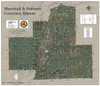 Marshall & Putnam Counties Illinois 2023 Aerial Wall Map