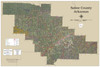 Saline County Arkansas 2023 Aerial Wall Map