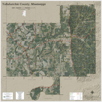 Tallahatchie County Mississippi 2021 Aerial Wall Map