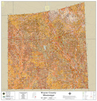 Wayne County Mississippi 2022 Soils Wall Map