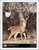 Lake County Ohio 2025 eBook Pro