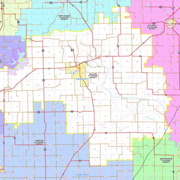 Mapping Solutions Custom District Map