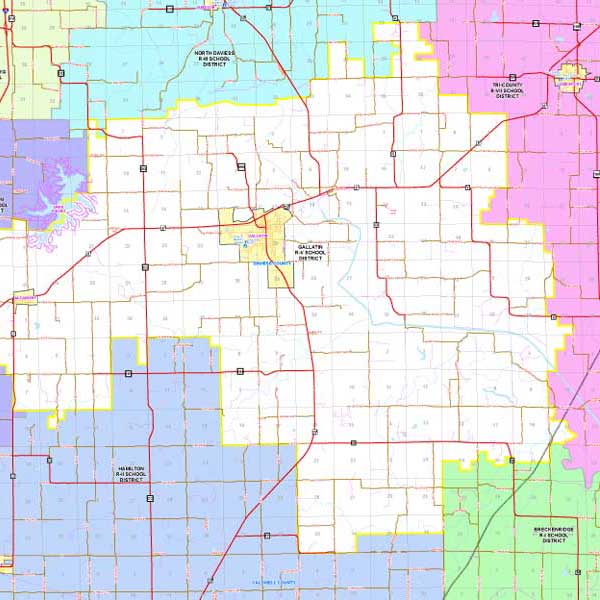 Mapping Solutions Custom District Map