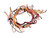 WB18X26667 GE Range Harness Wire Maintop JB645DK1BB