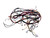 HTX24GASK1WS Hotpoint Complete Harness