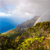 Kauai Hawaiian Ground Coffee - view 3
