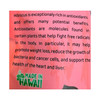 YaYa Hawaii Hibiscus Dried Flowers Premium Low Sugar Plant Based Snack 3 Oz - view 6