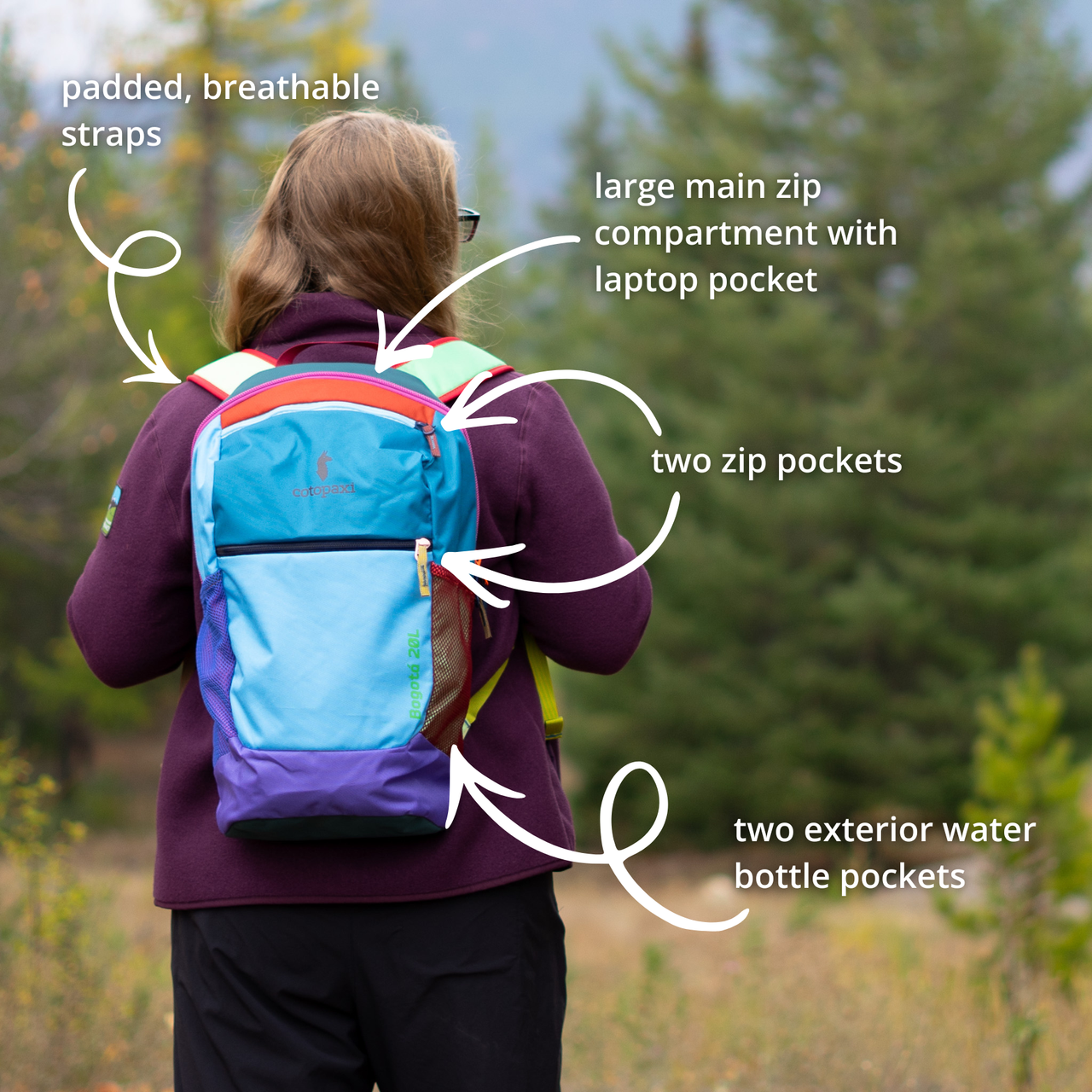 Cotopaxi Bogota 20L Del Dia Backpack - Glacier National Park