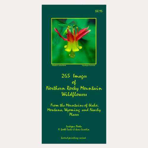 265 Images Of Northern Rocky Mountain Wildflowers