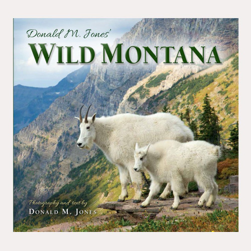 Wild Montana