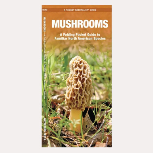 Pocket Guide: Natural Mushrooms