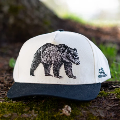 Grizzly Sketch Hat