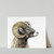Bighorn Sheep Print