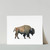 Bison Print