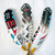 Painted Feather - Traditional Colors