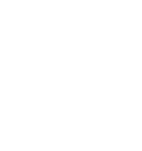 Heart Icon