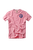 Barn Swallow Tee