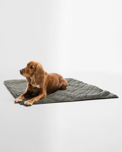 Dog Quilt & Fleece Blanket