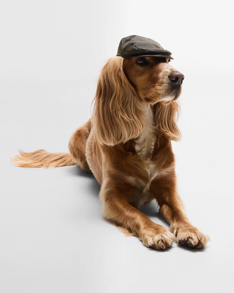Dog Wax Flat Cap Dog Wax Flat Cap