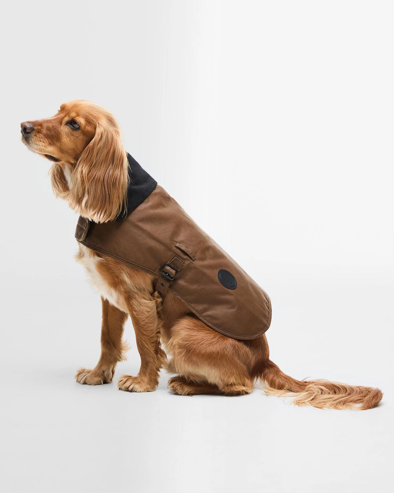 Wax Dog Coat