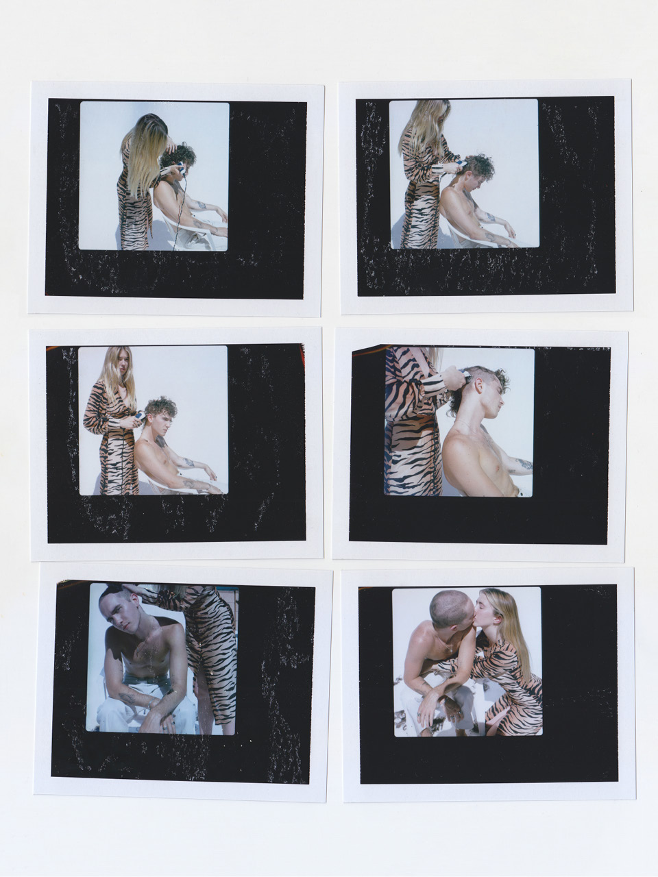 The Vivienne - Tiger