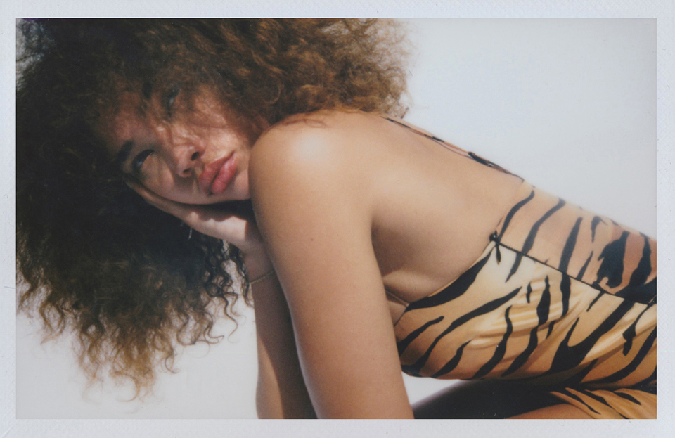 The Christy - Tiger