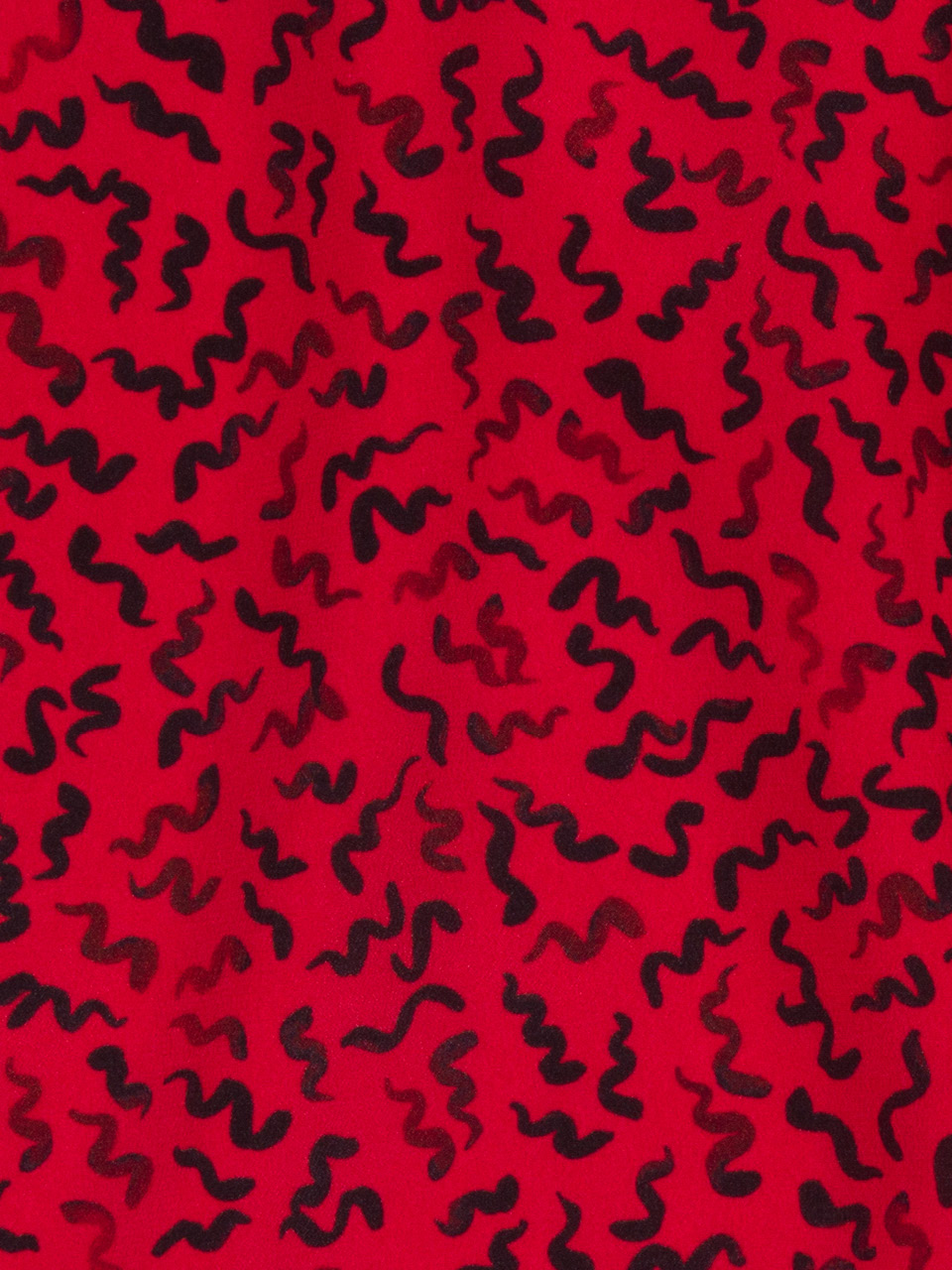 The Ana - Red Squiggle