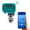 1" Smart Motorized Ball Valve – Remote Control Electrical Ball Valve with Manual Switch, 5V DC USB