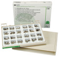 3M ESPE Stainless Steel Permanent Molar Crowns, PO-96, Kit