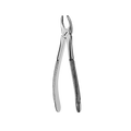 7 Serrated Upper Premolars Extraction Forceps