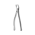 150AS Split Beaks Serrated Upper Incisors & Canines Extraction Forceps