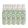 Micrylium, BioSURF, 60mL Mini-Sprayer, 10/Box, 01-SURF-060