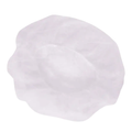 Aurelia Bouffant Caps, 24", 1000/Case