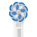 Procter & Gamble, Oral-B Sensitive and Gum Brush Head Refill, 6/Box, 80748282
