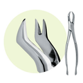 Premier, Forceps 88R, 9065025