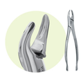Premier, Forceps 150, 9065030