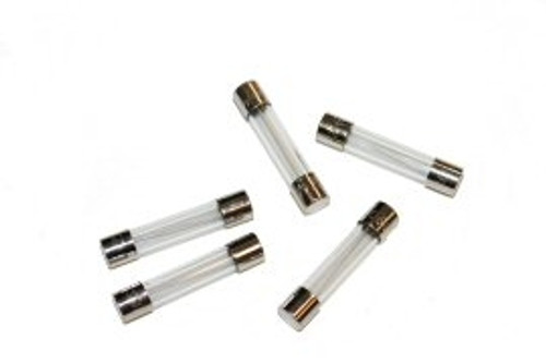 Fuse, Fast Acting, 5 Amp, 250 Volt; Pkg of 5