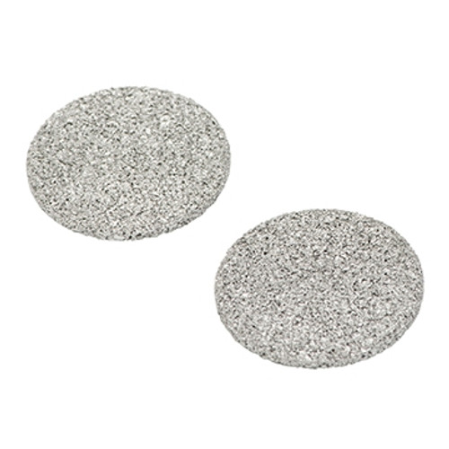 Filter Disks, Stainless Steel, Pkg of 2