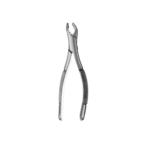 151XAS Pedo Split Beaks Serrated Lower Primary Molars Extraction Forcep