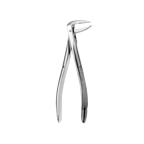 233 Lower Roots Serrated Extraction Forceps