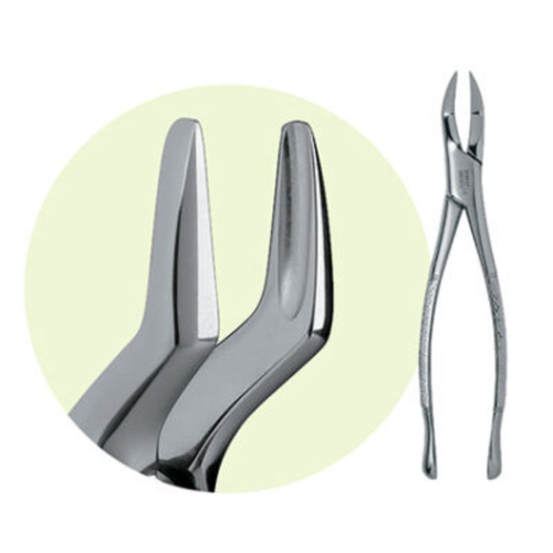 Premier, Forceps 65, 9065018