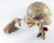Collection of pottery animalitos by Margaret and Luther Gutierrez