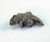 Zuni Carved Marble Horned Toad