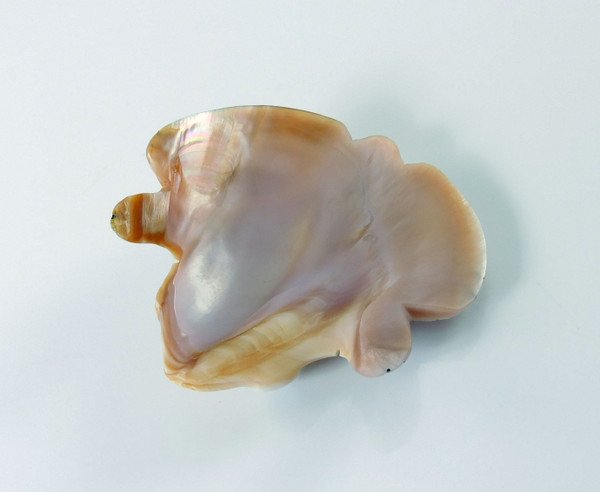 Zuni Frog Fetish by Georgette Quam