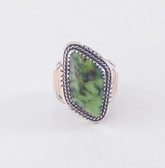 Variscite in Silver Ring with Gold Will Denetdale