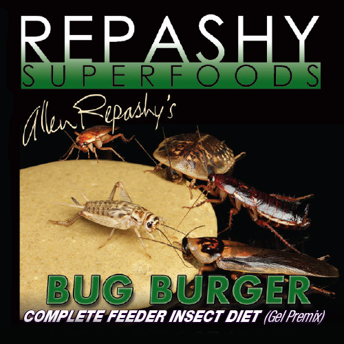 Bug Burger